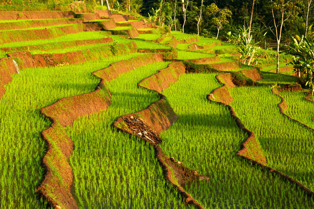 Amanjiwo, Indonesia